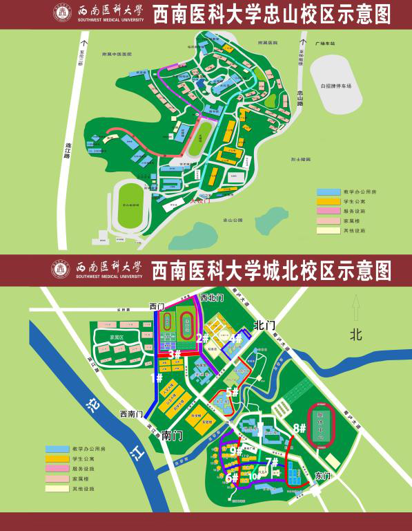 西南医科大学校园道路与新建体育场命名公告